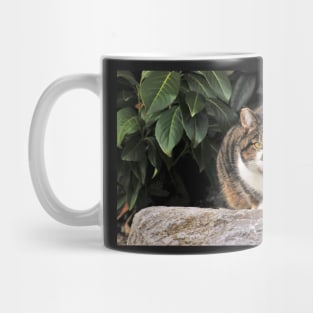 Bored Cat Mug